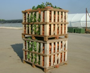 foto imballo casse produttori9
